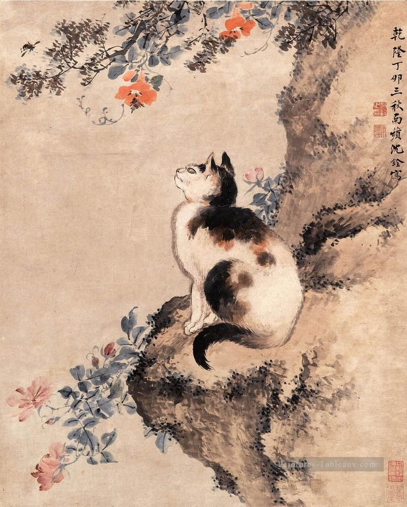 Shenquan chat traditionnelle chinoise Peintures à l'huile